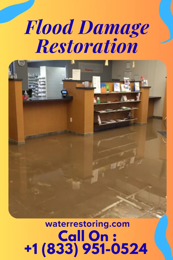 Flood Damage Restoration in Princeton, FL