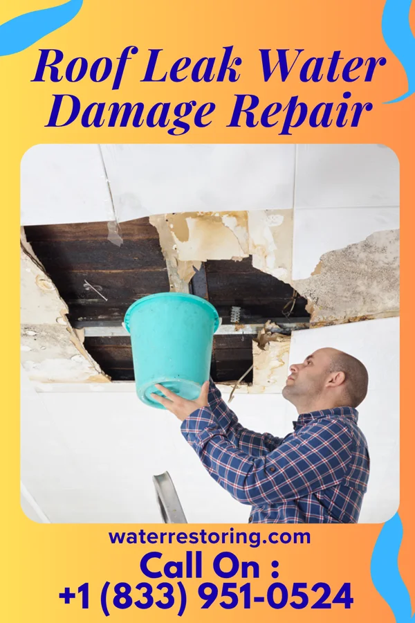 Roof Leak Water Damage Repair in Princeton, FL