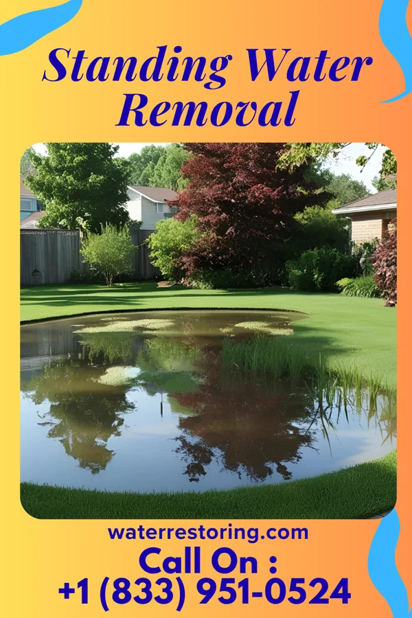 Standing Water Removal in Princeton, FL